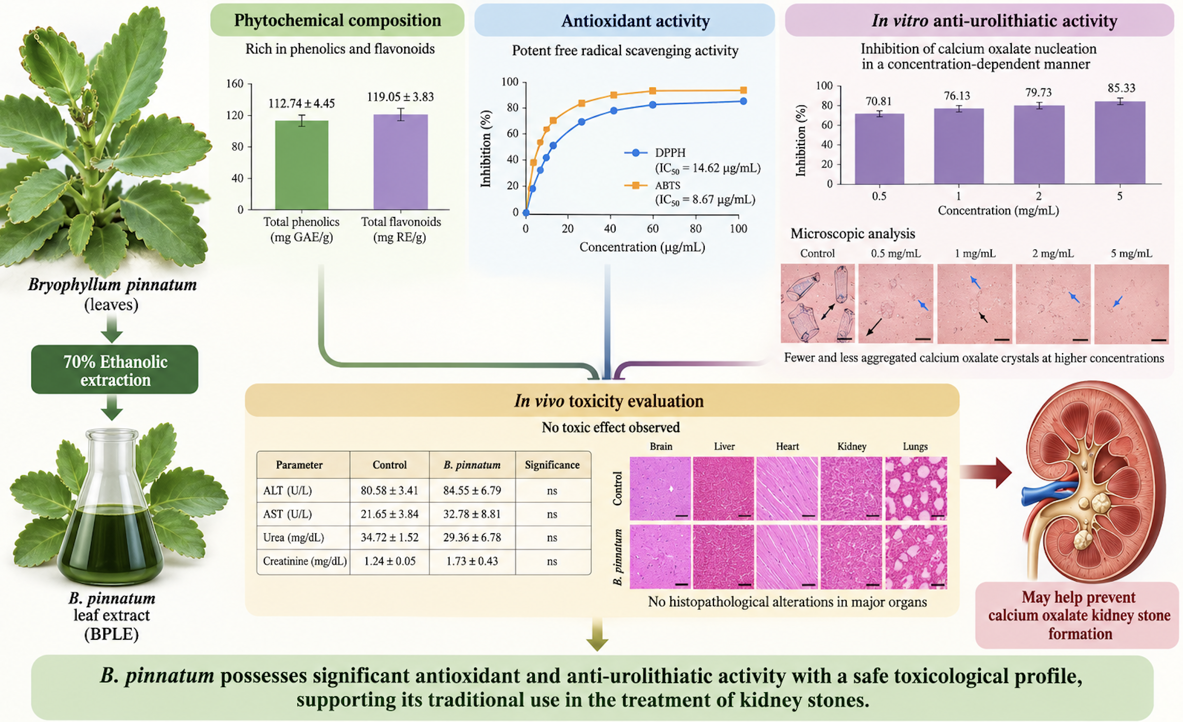 Graphical abstract